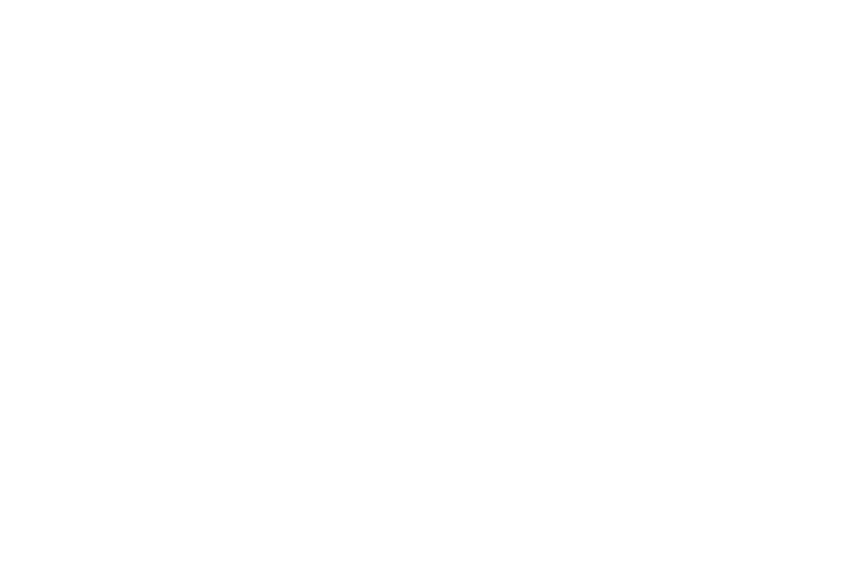 Fuego home
